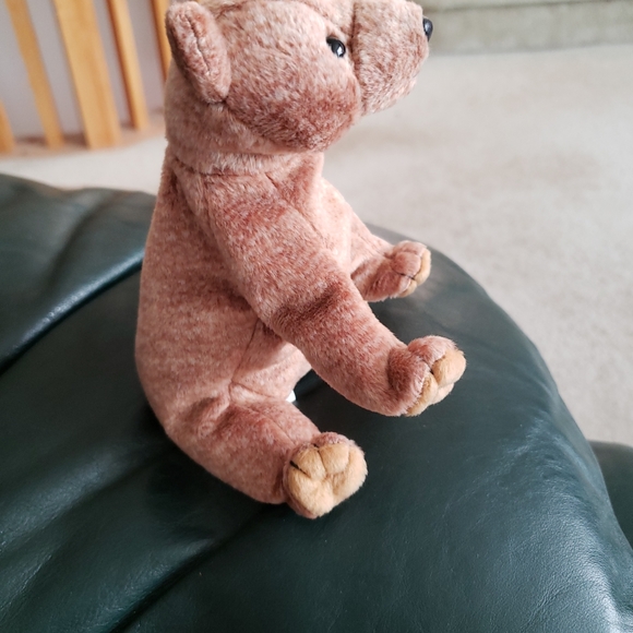 Ty Beanie Baby Pecan the Bear - Picture 4 of 8